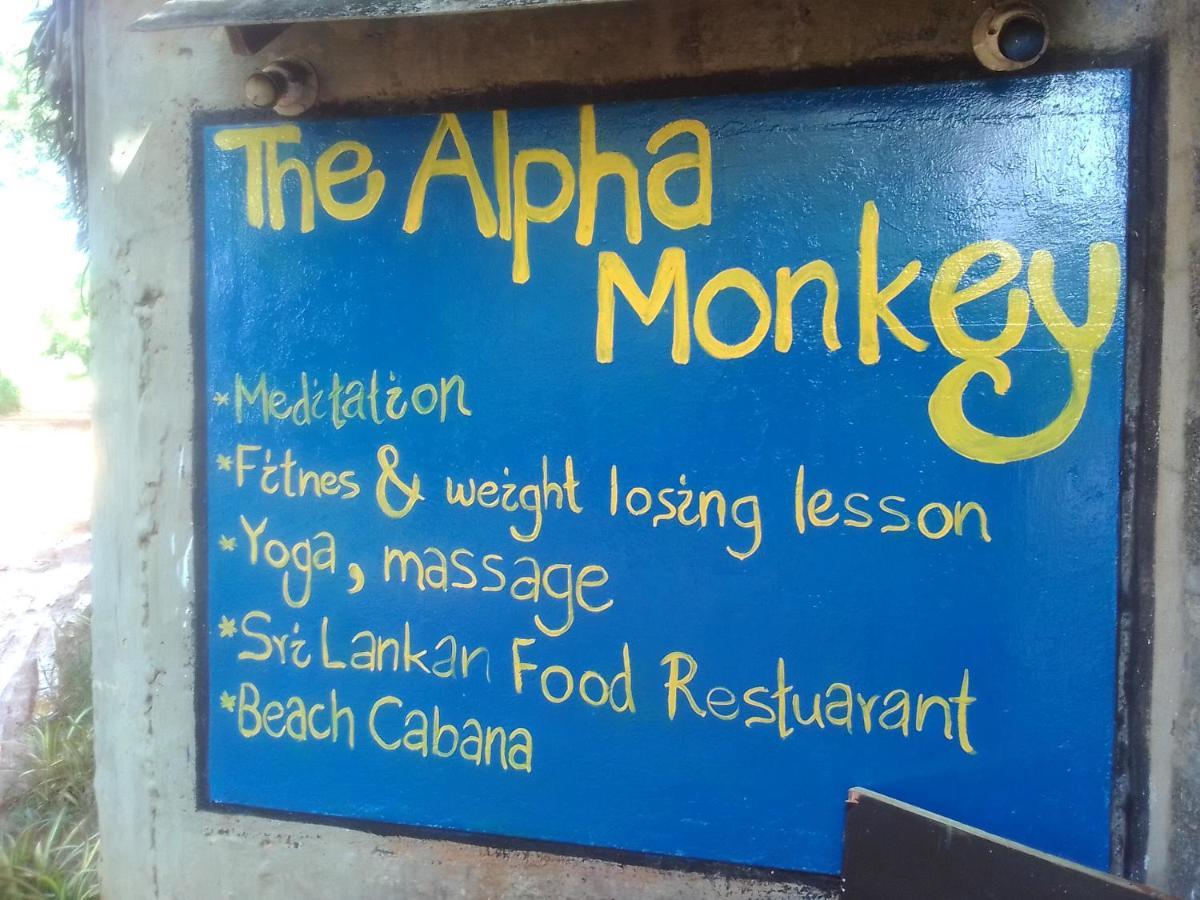 The Alpha Monkey Hotel & Tree House 탕갈레 외부 사진
