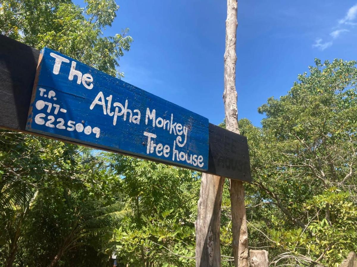 The Alpha Monkey Hotel & Tree House 탕갈레 외부 사진