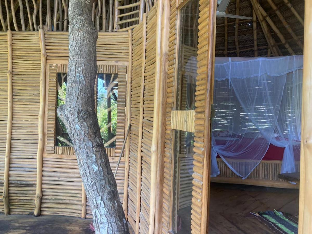 The Alpha Monkey Hotel & Tree House 탕갈레 외부 사진