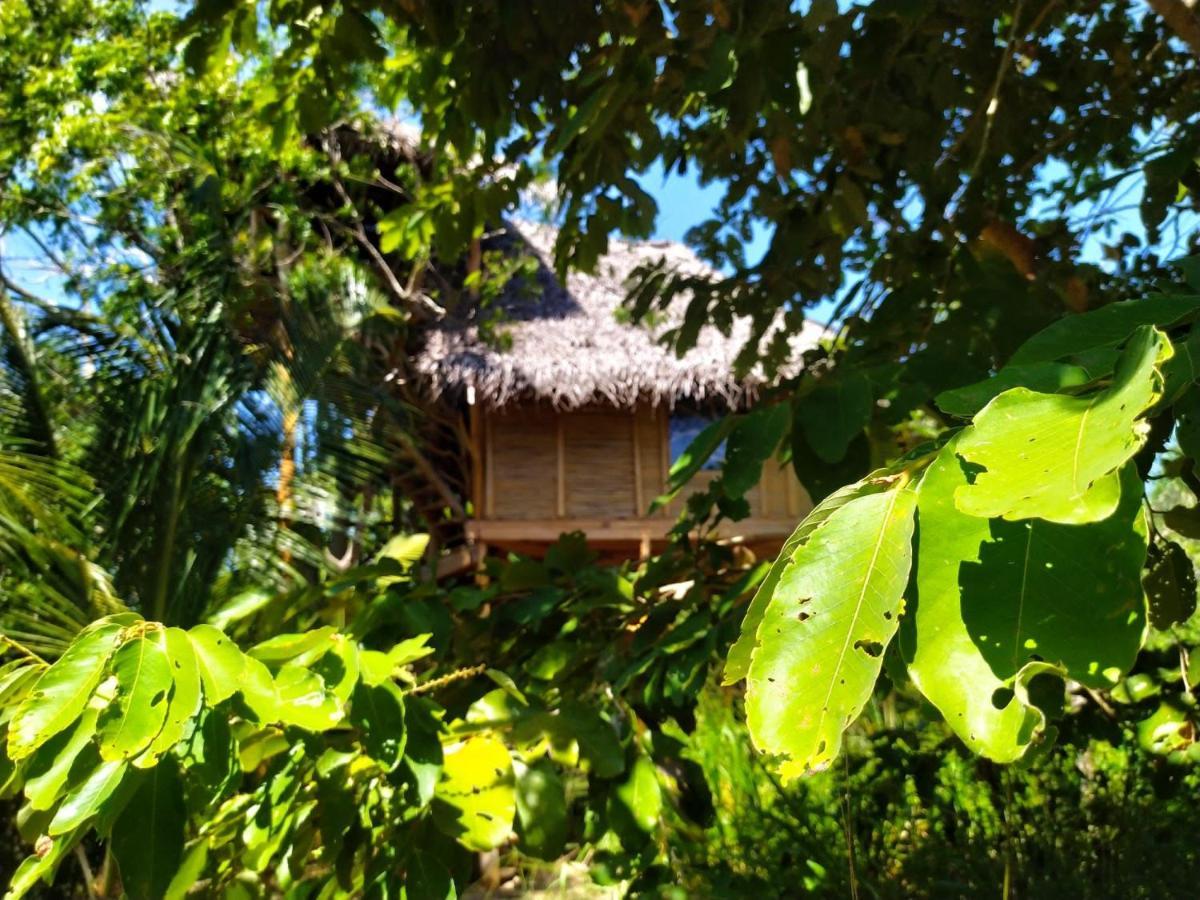 The Alpha Monkey Hotel & Tree House 탕갈레 외부 사진