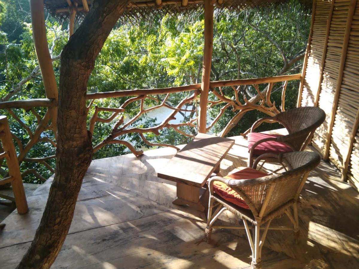 The Alpha Monkey Hotel & Tree House 탕갈레 외부 사진