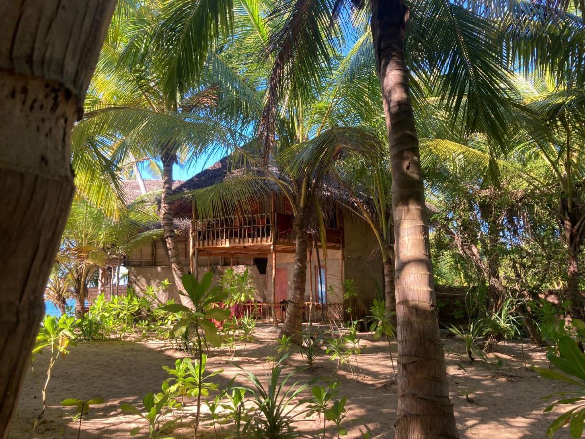 The Alpha Monkey Hotel & Tree House 탕갈레 외부 사진