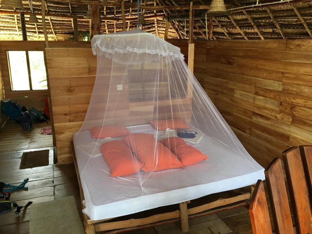 The Alpha Monkey Hotel & Tree House 탕갈레 외부 사진