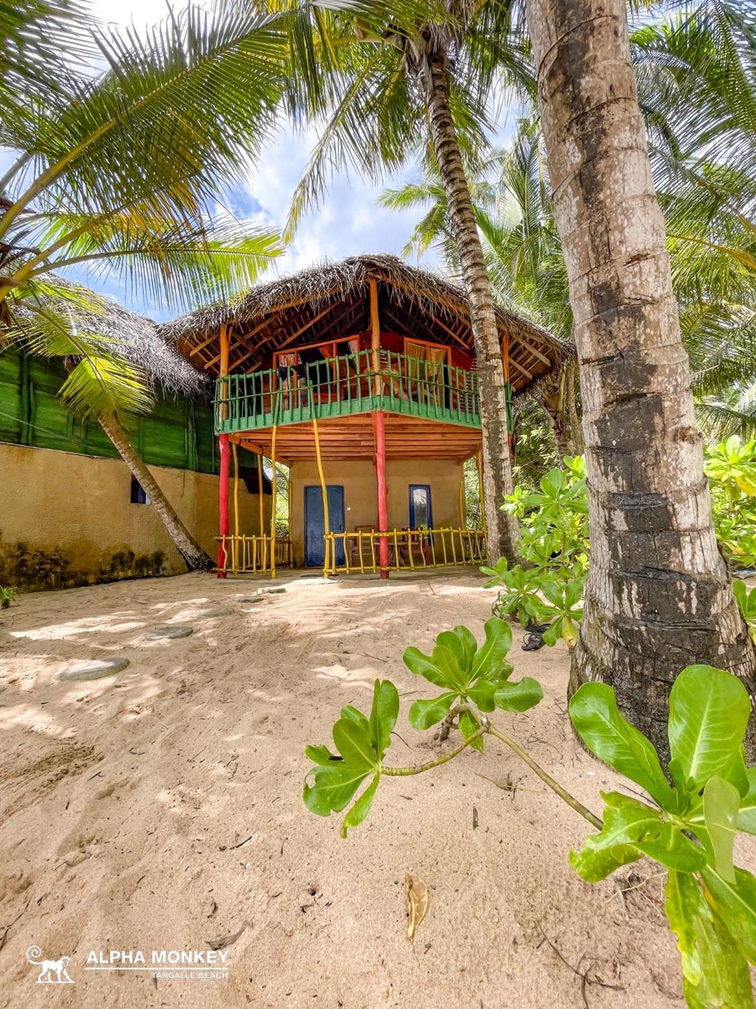 The Alpha Monkey Hotel & Tree House 탕갈레 객실 사진