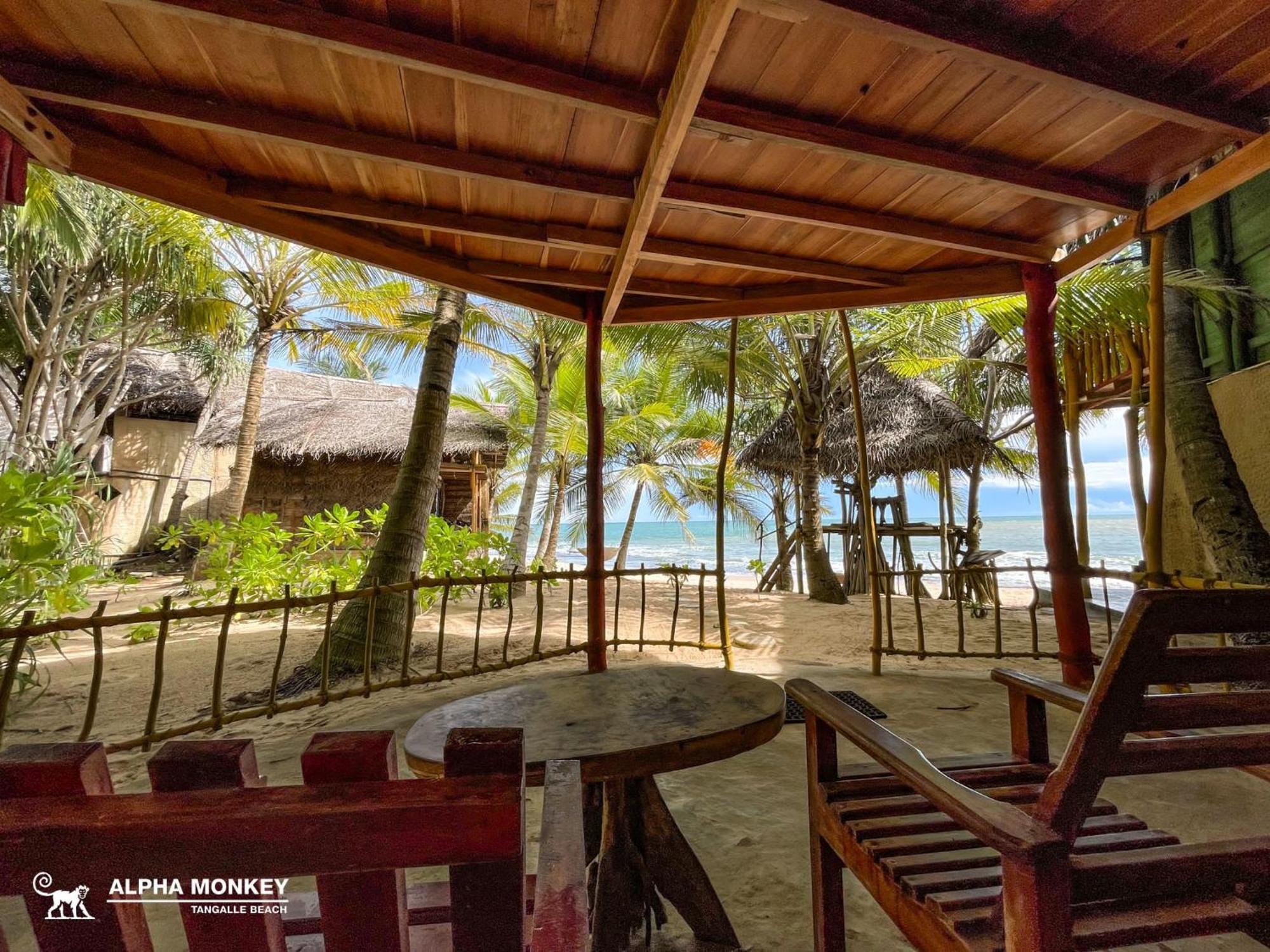 The Alpha Monkey Hotel & Tree House 탕갈레 객실 사진